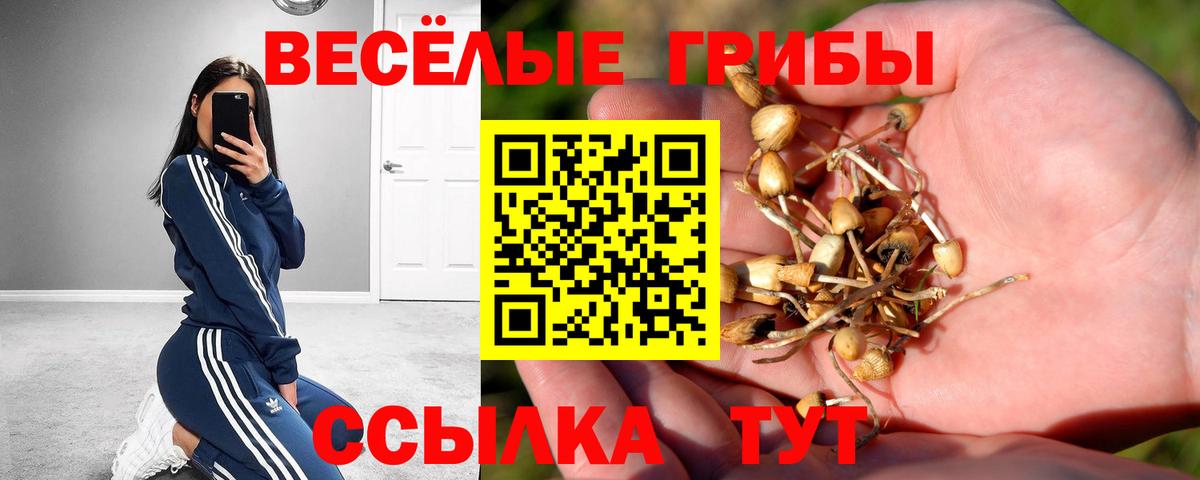 Галлюциногенные грибы GOLDEN TEACHER  Псилоцибиновые грибы ЛСД  дарнет шоп  Магнитогорск  Вход с VPN 